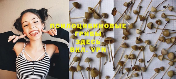 гидропоника Богородск