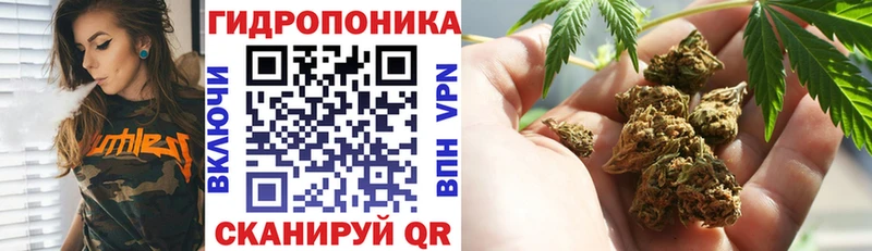 Бошки марихуана VHQ  Оса 